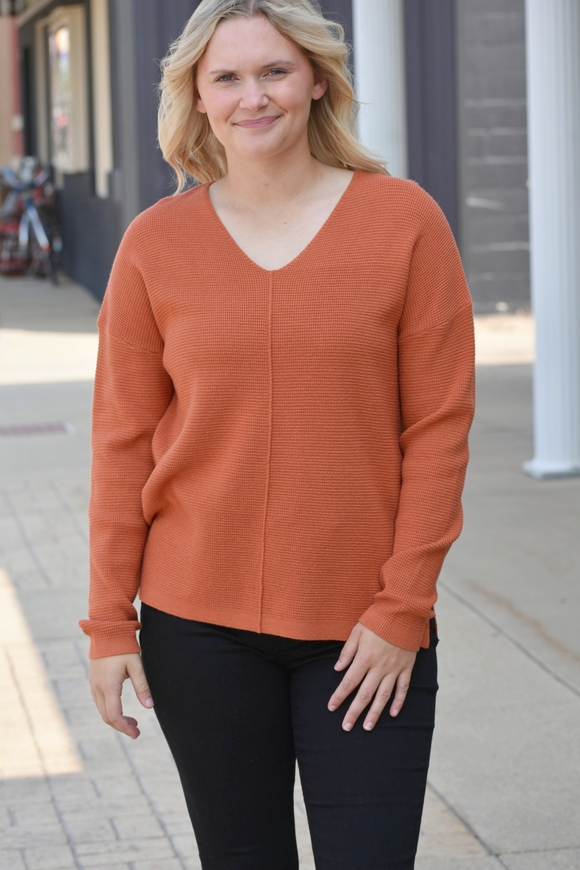 Michelle V-Neck Sweater